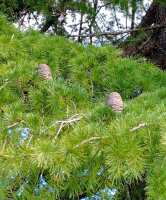 681 x 820 x 119,599oCg ̉摜͑傫̂ŕʉʂŕ\܂