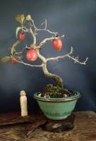 1056 x 1550 x 115,819oCg ̉摜͑傫̂ŕʉʂŕ\܂