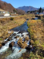 417 x 556 x 116,593oCg