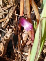 500 x 667 x 85,322oCg