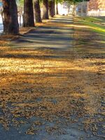 506 x 674 x 116,621バイト