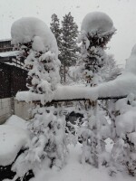 572 x 762 x 117,959�o�C�g