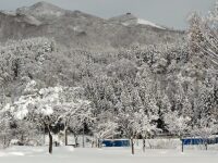 693 x 519 x 119,462�o�C�g