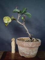 1108 x 1477 x 92,875�o�C�g �����̉摜�͑傫���̂ŕʉ�ʂŕ\�����܂���