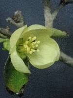 1108 x 1477 x 242,195�o�C�g �����̉摜�͑傫���̂ŕʉ�ʂŕ\�����܂���