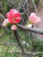 1108 x 1477 x 110,015�o�C�g �����̉摜�͑傫���̂ŕʉ�ʂŕ\�����܂���