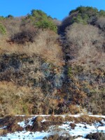 427 x 569 x 117,447�o�C�g