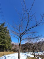 557 x 742 x 114,697�o�C�g