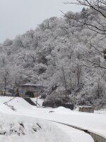 600 x 800 x 123,467�o�C�g