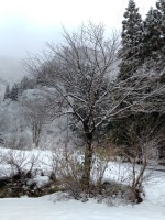 428 x 570 x 116,968�o�C�g