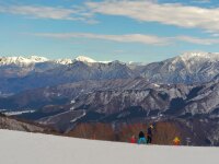 937 x 702 x 113,203�o�C�g