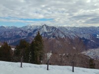 785 x 588 x 122,452�o�C�g