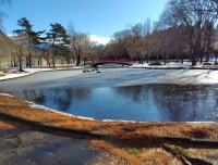 677 x 515 x 120,228�o�C�g