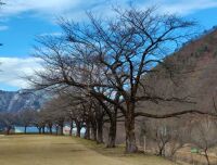 757 x 575 x 115,977�o�C�g