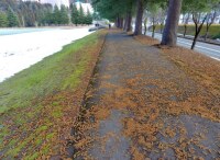 606 x 443 x 116,381�o�C�g