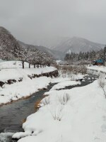 719 x 958 x 119,065�o�C�g �����̉摜�͑傫���̂ŕʉ�ʂŕ\�����܂���