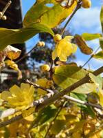 1108 x 1477 x 171,768�o�C�g �����̉摜�͑傫���̂ŕʉ�ʂŕ\�����܂���