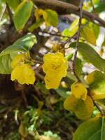 1108 x 1477 x 135,122�o�C�g �����̉摜�͑傫���̂ŕʉ�ʂŕ\�����܂���