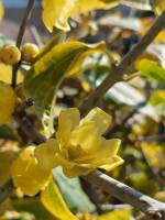 1108 x 1477 x 126,110�o�C�g �����̉摜�͑傫���̂ŕʉ�ʂŕ\�����܂���