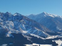 1005 x 753 x 120,882�o�C�g