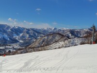 752 x 564 x 105,121�o�C�g