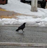 1015 x 1025 x 120,441�o�C�g �����̉摜�͑傫���̂ŕʉ�ʂŕ\�����܂���