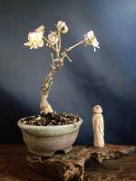 1108 x 1477 x 108,618�o�C�g �����̉摜�͑傫���̂ŕʉ�ʂŕ\�����܂���