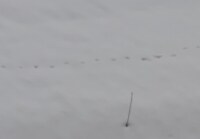 2464 x 1707 x 114,926�o�C�g �����̉摜�͑傫���̂ŕʉ�ʂŕ\�����܂���