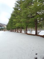 571 x 761 x 114,099�o�C�g