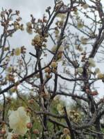 1108 x 1477 x 188,527�o�C�g �����̉摜�͑傫���̂ŕʉ�ʂŕ\�����܂���