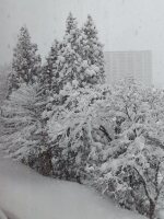 561 x 748 x 114,650�o�C�g