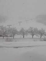 854 x 1138 x 111,843�o�C�g �����̉摜�͑傫���̂ŕʉ�ʂŕ\�����܂���