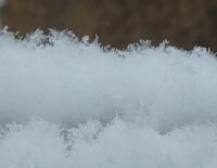 1767 x 1366 x 119,442�o�C�g �����̉摜�͑傫���̂ŕʉ�ʂŕ\�����܂���