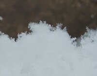 1836 x 1436 x 119,386�o�C�g �����̉摜�͑傫���̂ŕʉ�ʂŕ\�����܂���