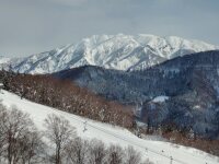 808 x 606 x 116,122�o�C�g