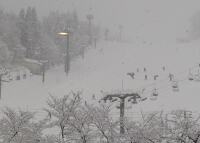 1393 x 996 x 115,366�o�C�g �����̉摜�͑傫���̂ŕʉ�ʂŕ\�����܂���