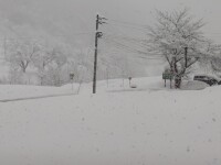 1062 x 796 x 122,394�o�C�g �����̉摜�͑傫���̂ŕʉ�ʂŕ\�����܂���