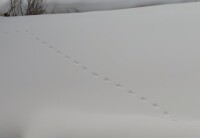 2102 x 1450 x 118,195�o�C�g �����̉摜�͑傫���̂ŕʉ�ʂŕ\�����܂���