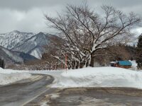 779 x 584 x 119,335�o�C�g