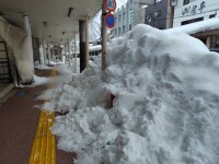 776 x 582 x 118,145�o�C�g