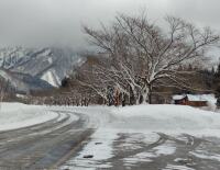 911 x 706 x 118,582�o�C�g