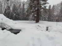 683 x 512 x 121,084�o�C�g