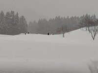 1453 x 1090 x 125,109�o�C�g �����̉摜�͑傫���̂ŕʉ�ʂŕ\�����܂���