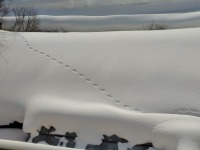 1273 x 954 x 127,392�o�C�g �����̉摜�͑傫���̂ŕʉ�ʂŕ\�����܂���