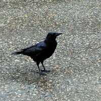 837 x 837 x 119,293�o�C�g �����̉摜�͑傫���̂ŕʉ�ʂŕ\�����܂���