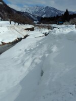 669 x 892 x 107,939�o�C�g �����̉摜�͑傫���̂ŕʉ�ʂŕ\�����܂���