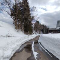 835 x 832 x 115,060�o�C�g �����̉摜�͑傫���̂ŕʉ�ʂŕ\�����܂���