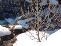 819 x 614 x 118,278�o�C�g