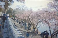 500 x 324 x 44,870�o�C�g