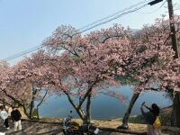 500 x 375 x 61,643�o�C�g